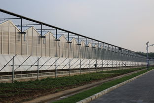 設施農業概述 溫室與大棚的區別及利禾科技的材料與配套設施設計