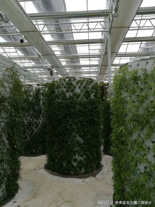 智能溫室 現代農業的盈利新引擎