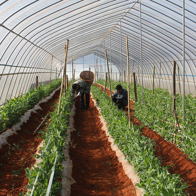 玻璃溫室、薄膜溫室與無土栽培 農業(yè)溫室大棚材料及配套設施的設計要點