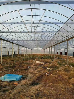 威海地區搭建一畝塑料薄膜溫室大棚的成本分析與預算指南