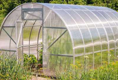 青海博瀚農業溫室大棚 高原現代農業的綠色引擎