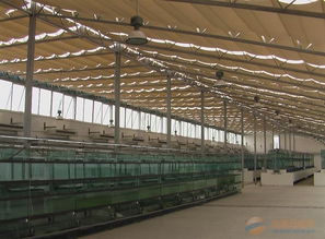 溫室農業產業鏈全景 品牌、采購、圖片與批發中的大棚材料及配套設施設計