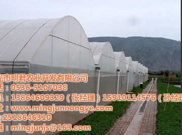 銀川市明君農(nóng)業(yè)連棟溫室 材料與配套設(shè)施設(shè)計的優(yōu)化與創(chuàng)新